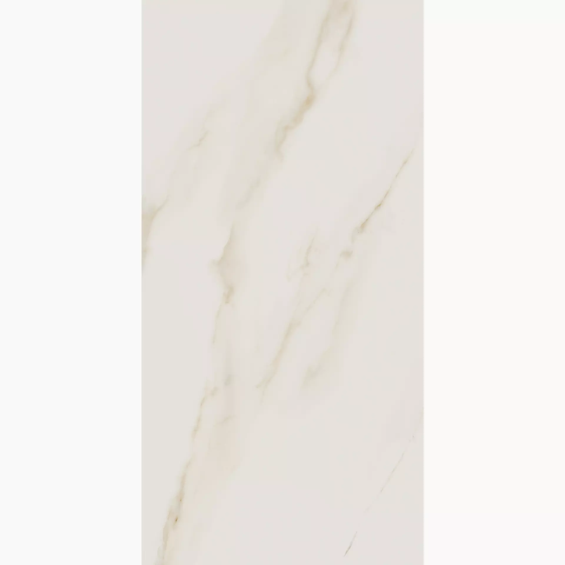 Cerdomus Calacatta Puro Levigato 66106 60x120cm rectified 8,5mm