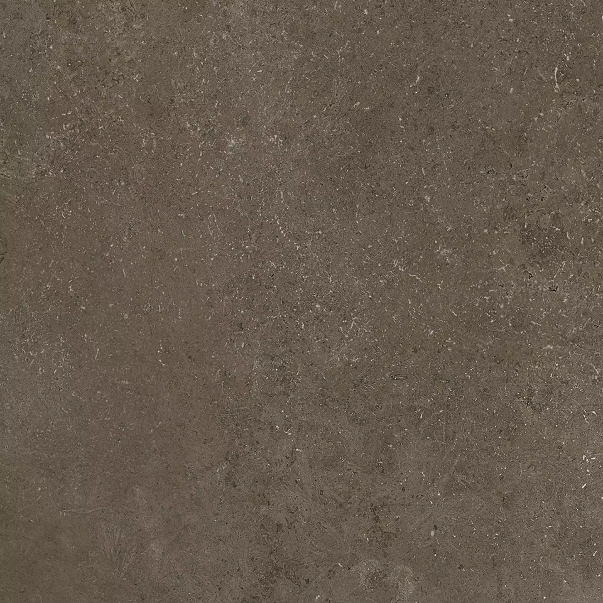 Cerdomus Croatia Antracite Matt 92336 60x60cm 8,5mm