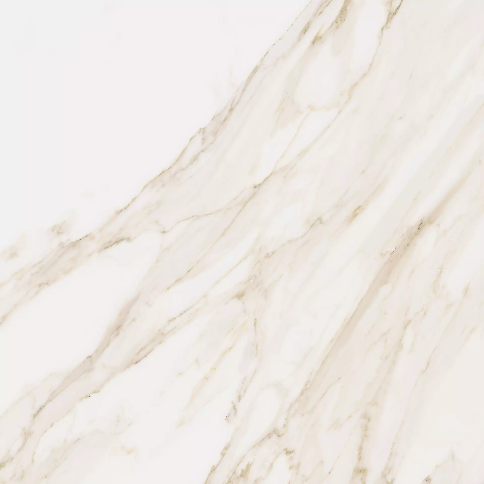 Cerdomus Omnia Calacatta Levigato 88944 60x60cm rectified 8,5mm
